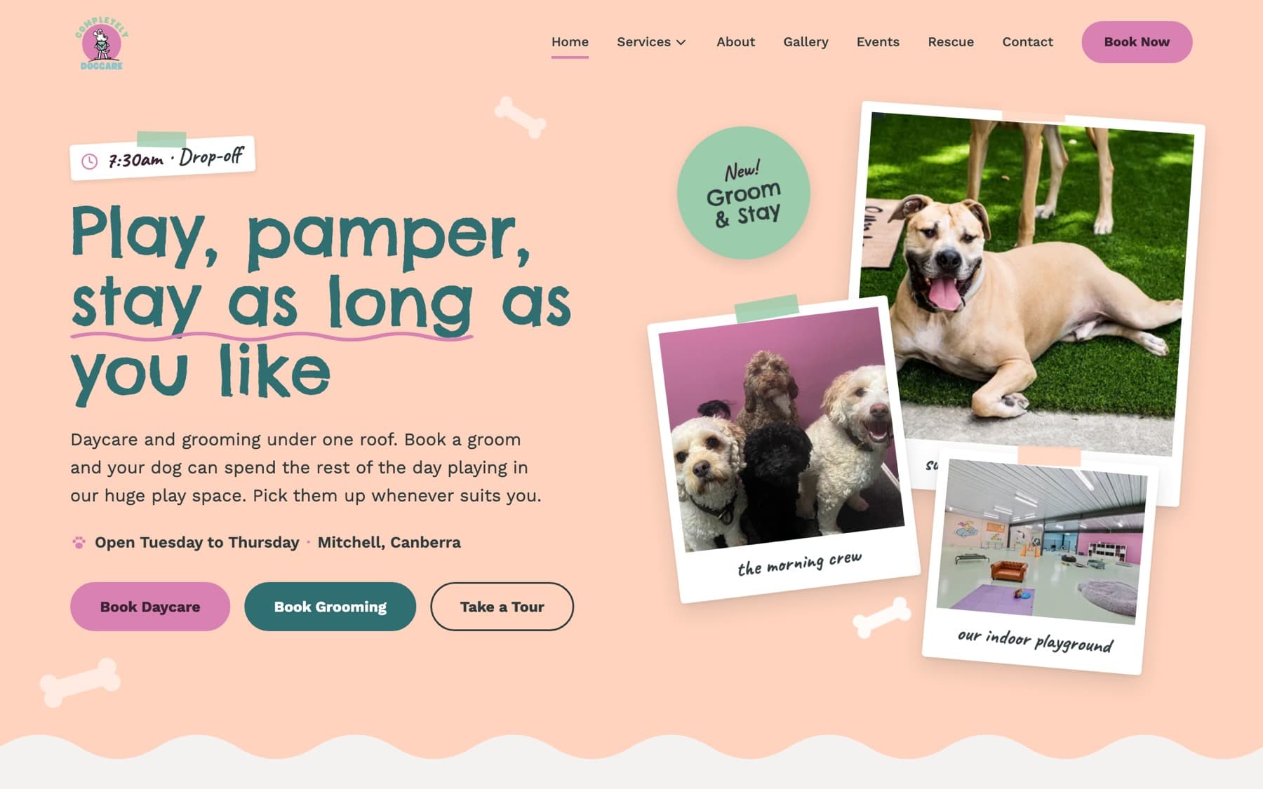 The Completely Dogcare website